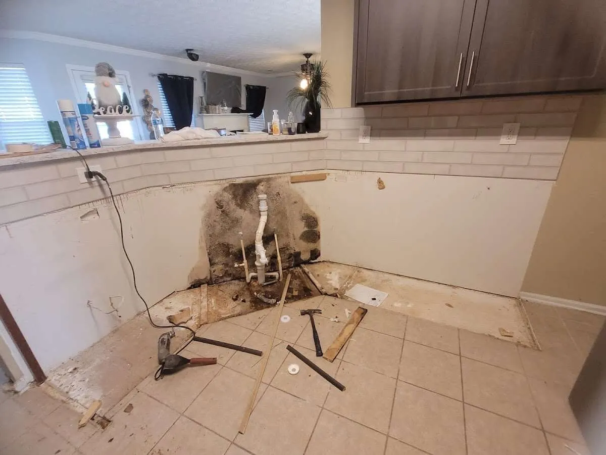 Mold behind wall with plumbing during Flood Damage Cleanup in Oakville