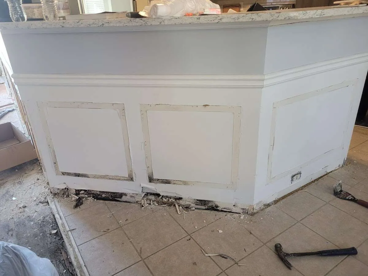 Water damage and mold on kitchen during Sewage Cleanup & Sanitation in Oakville